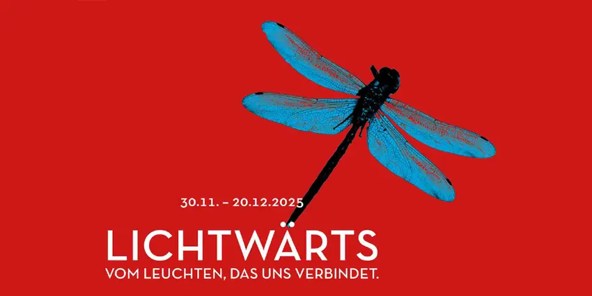 LICHTWÄRTS Teaser